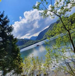 Ferienwohnung Alpen Sunshine Füssen, Füssen